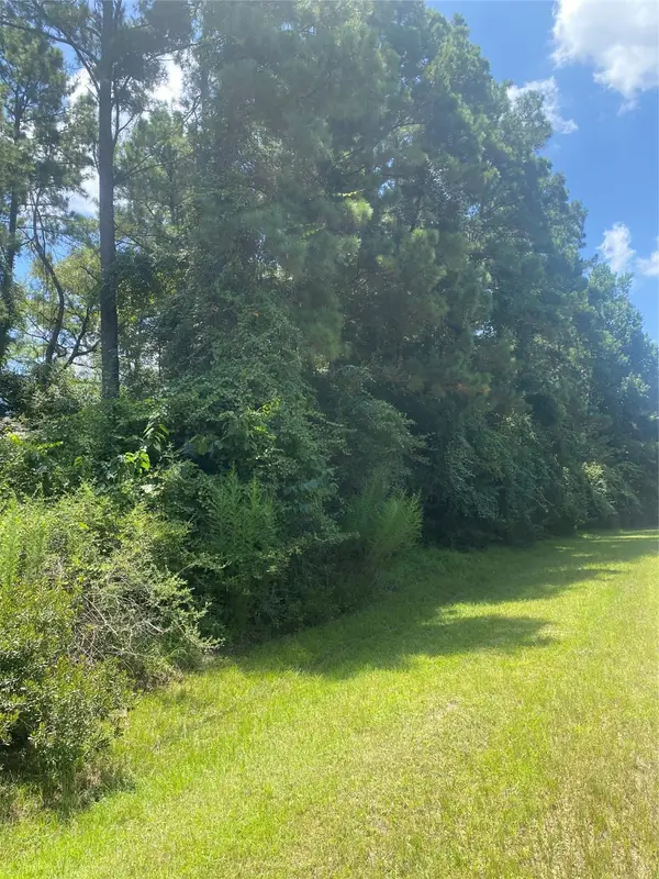 22922 Blackgum Drive, Magnolia, TX 77355