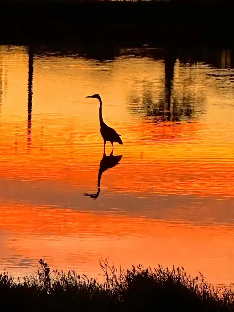 422 Windward Way, Tiki Island, TX 77554 - #3