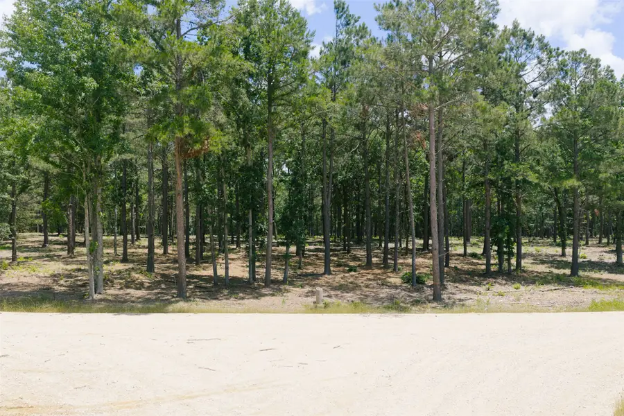 310 Longstraw Ln, Mount Enterprise, TX 75681 - #2