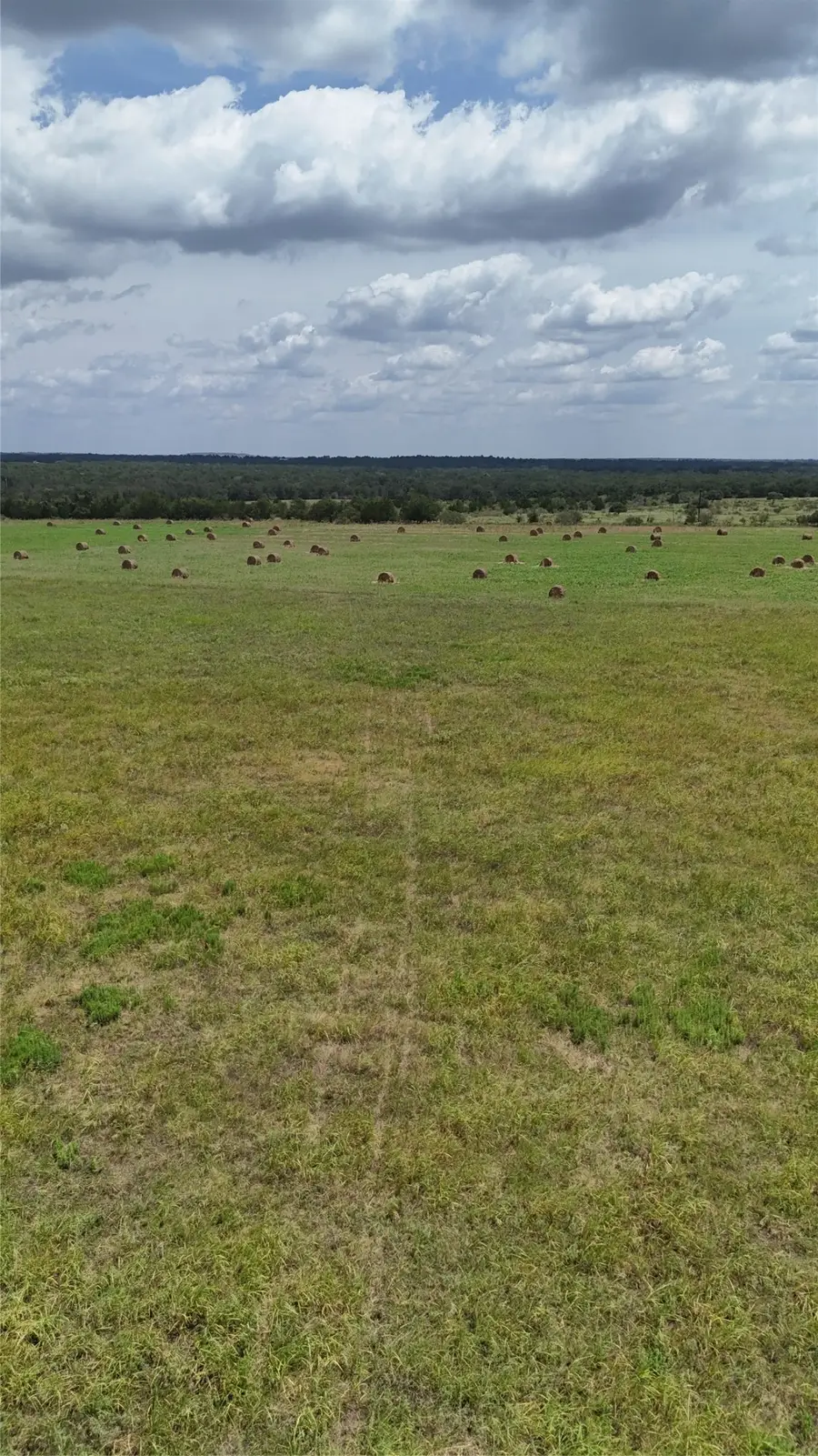 205 Saint Delight Road, Paige, TX 78659 - #2
