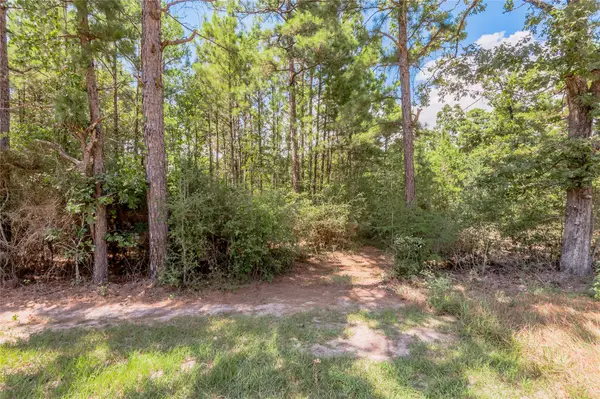 Na Fm 355, Trinity, TX 75862