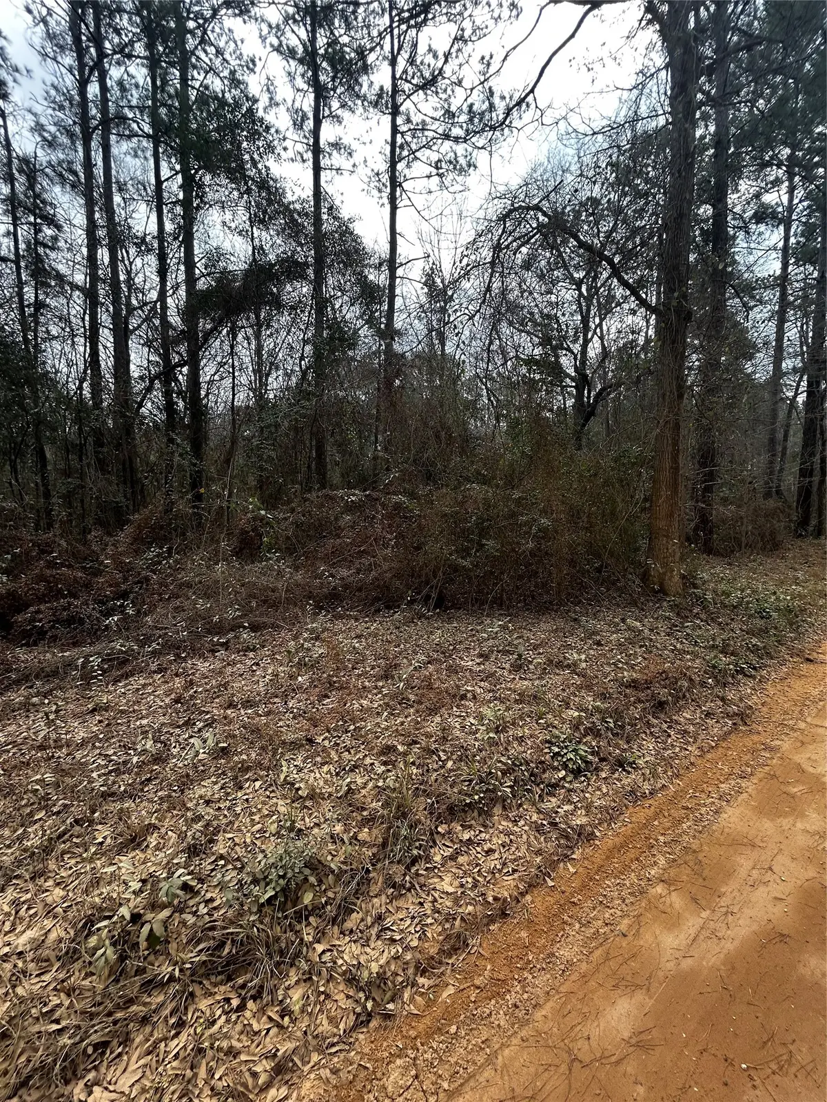 0 County Line Road, Shepherd, TX 77371 - #1