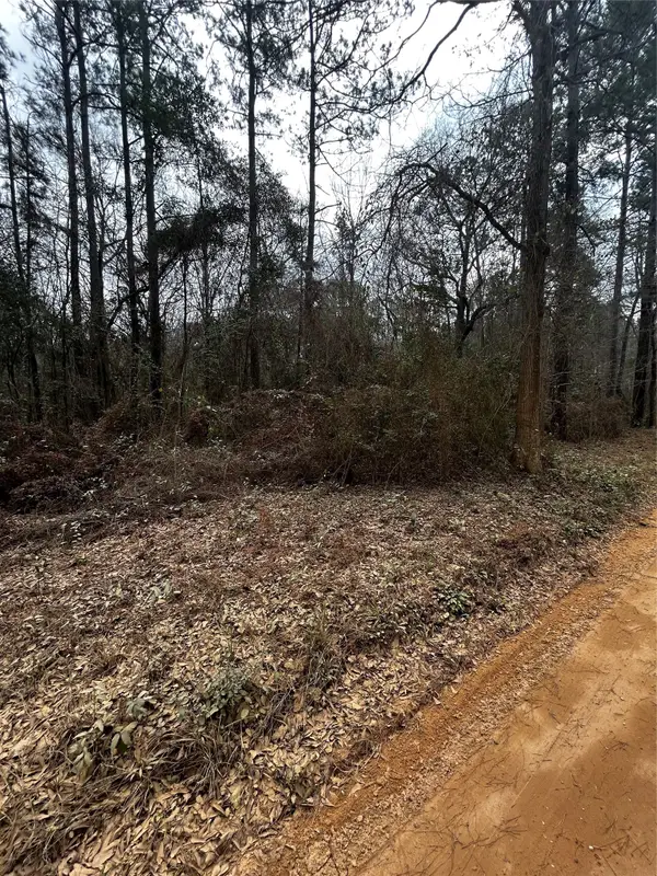 0 County Line Road, Shepherd, TX 77371