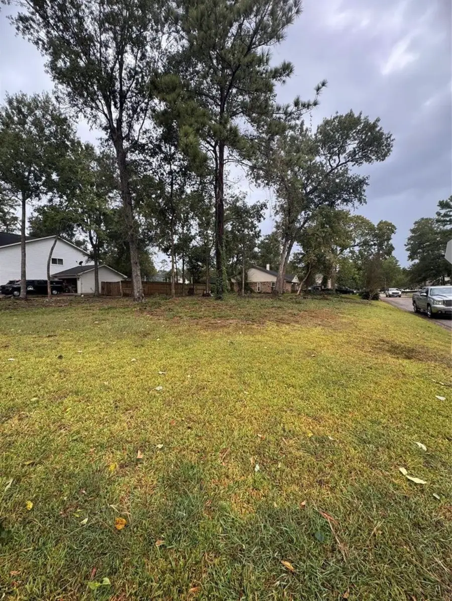 17311 Port O Call Street, Crosby, TX 77532 - #3