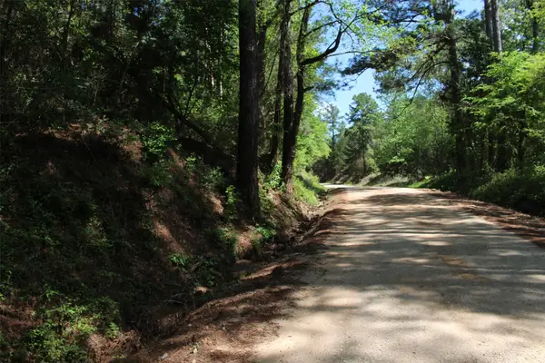 000 County Road 1190, Grapeland, TX 75844