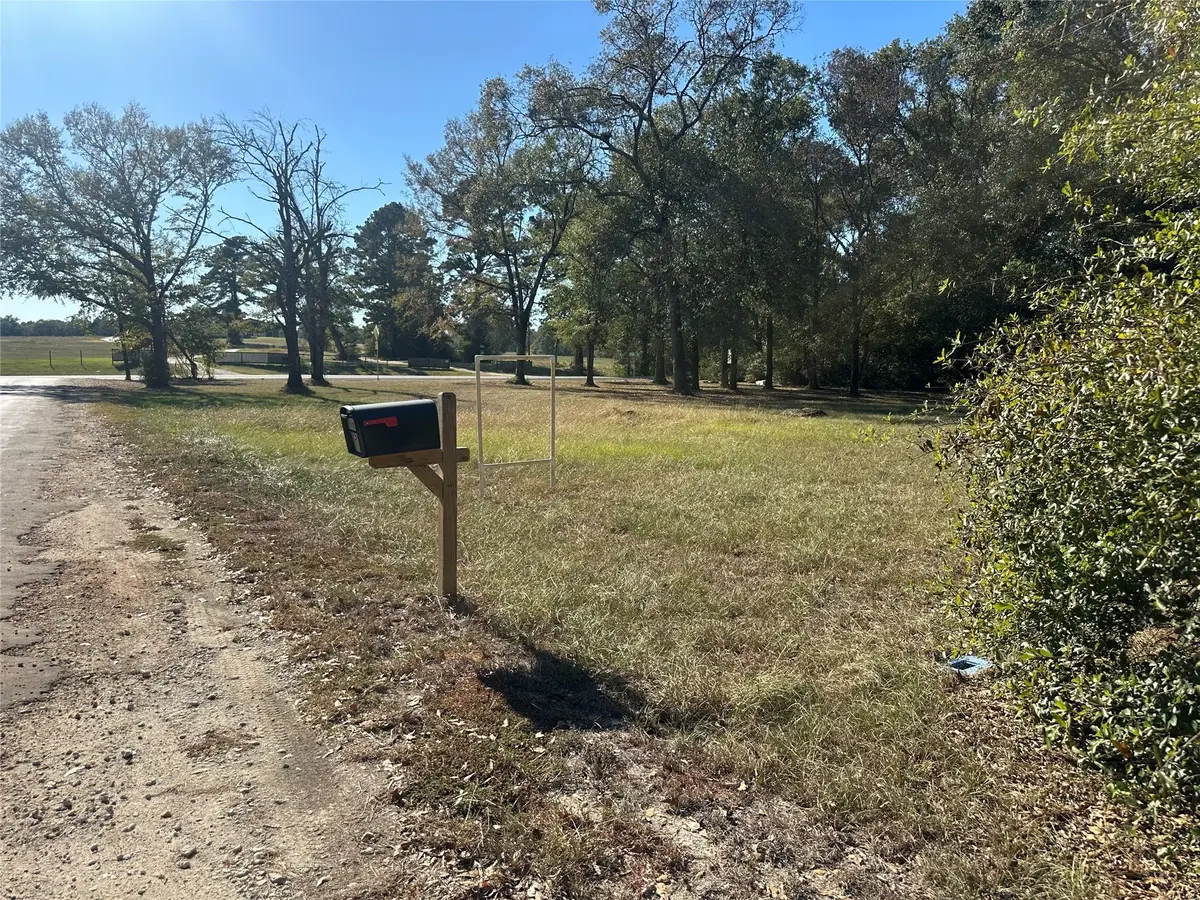 141 Skains Lane, Trinity, TX 75862 - Image #1