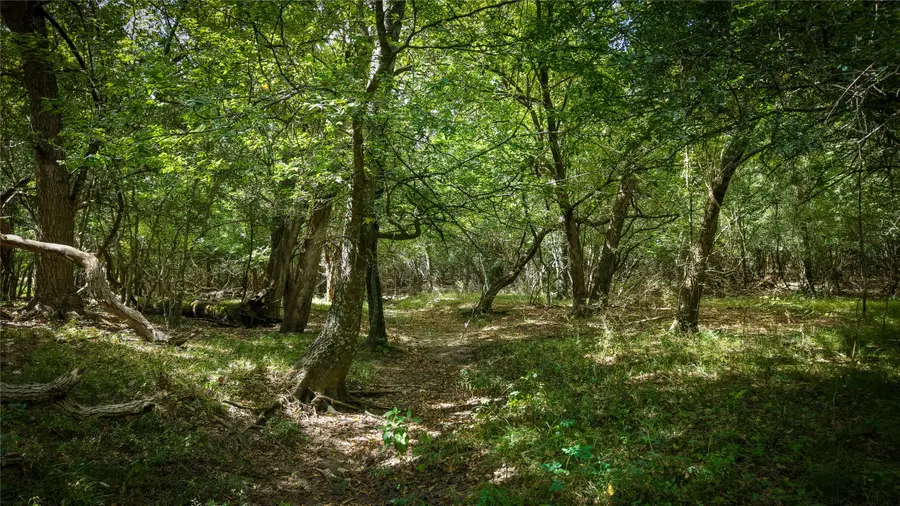 Tract 2 Tbd Mensik Rd, Bryan, TX 77808 - #3