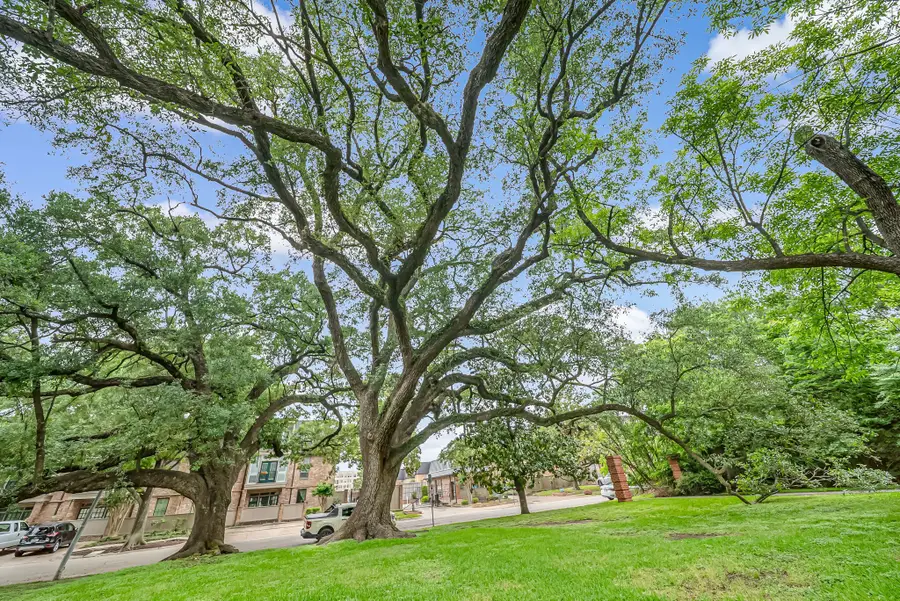 2350 N Braeswood Boulevard, Houston, TX 77030 - #3