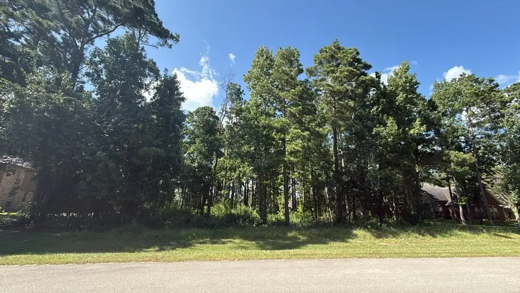 12602 Marshall Dr, Magnolia, TX 77354 - #1