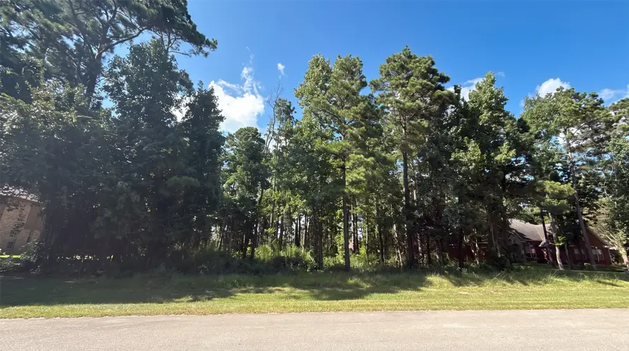 12602 Marshall Dr, Magnolia, TX 77354 - #2