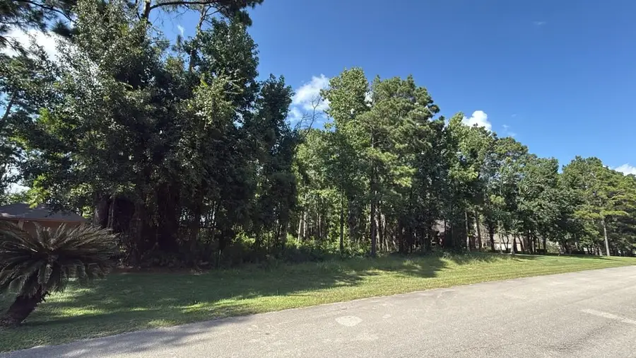 12602 Marshall Dr, Magnolia, TX 77354 - #3