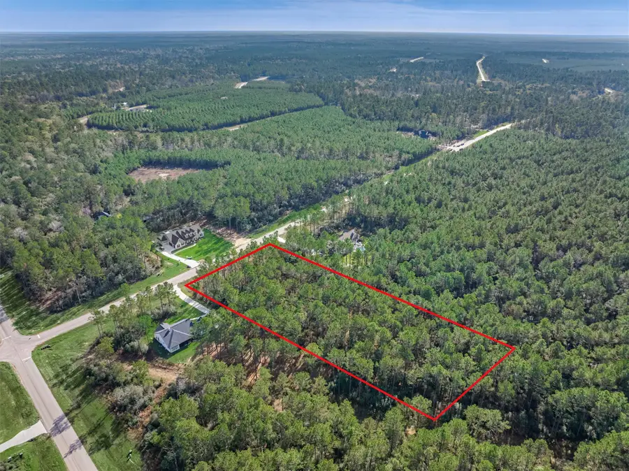 15929 Wood Grove Way, Willis, TX 77378 - Image #3