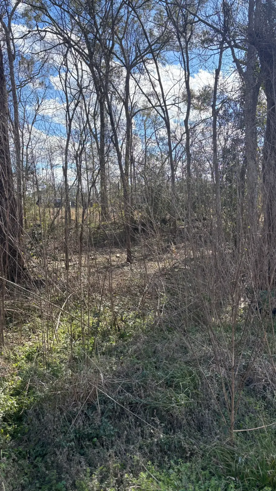 LOT 622, 620 Marshall Avenue, Holiday Lakes, TX 77515 - #3