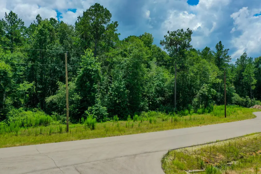 34-15 Sandstone Lane, Huntsville, TX 77340 - #3