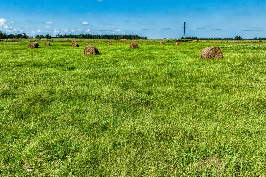 2277 Pee Dee Lane Lane, Madisonville, TX 77864 - #3