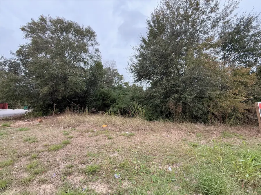 TBD Randolph Street, Houston, TX 77075 - Image #3