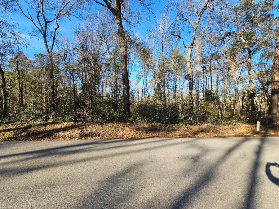 Lot 3 Sherwood Drive, Shepherd, TX 77371 - #3