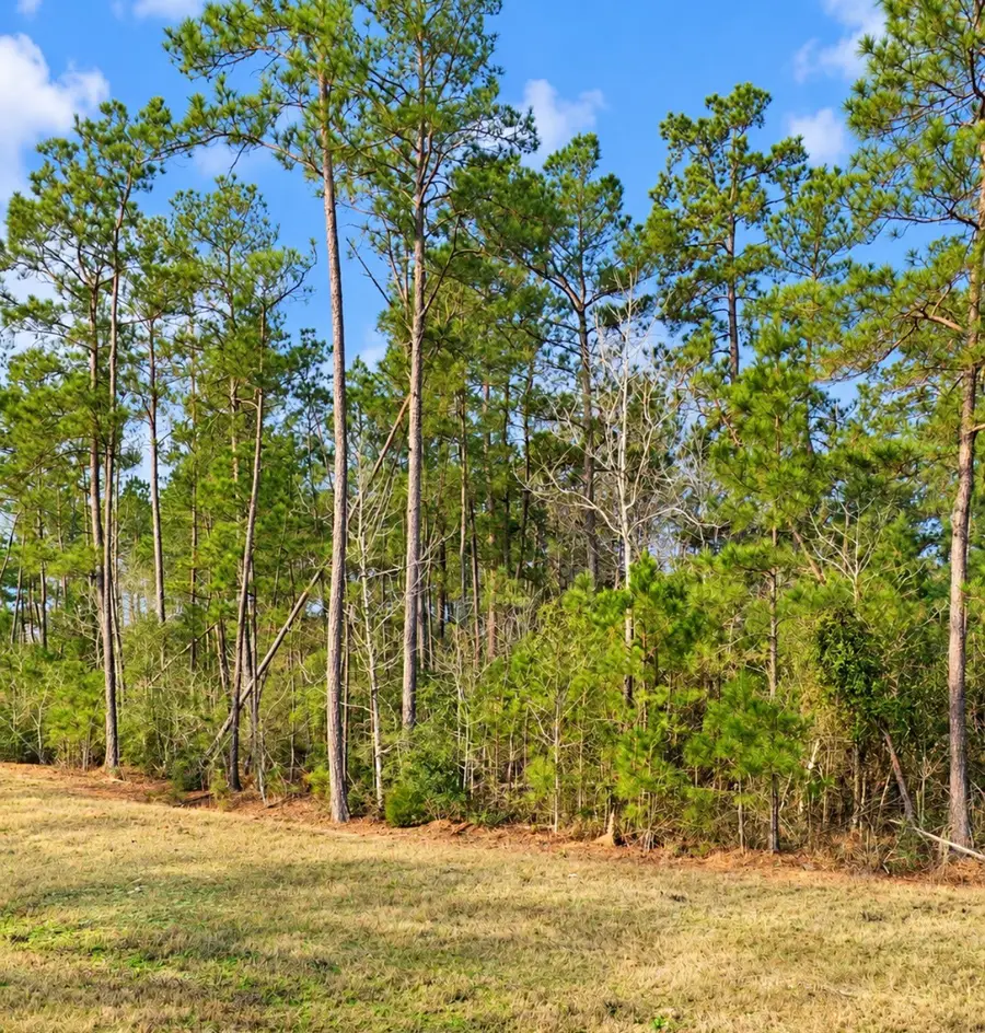 10529 Link Tree Lane, Willis, TX 77378 - #3