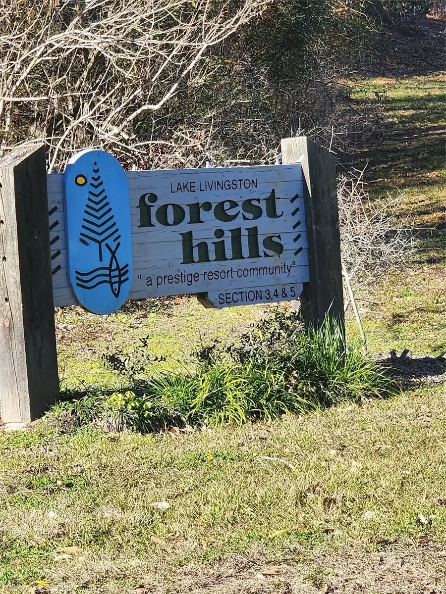 Lot 426 Echo Hills Lane, Livingston, TX 77351 - Image #2