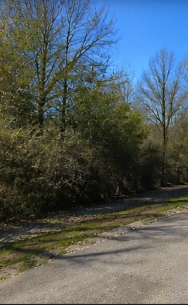0 Hilltop Road, Kendleton, TX 77435