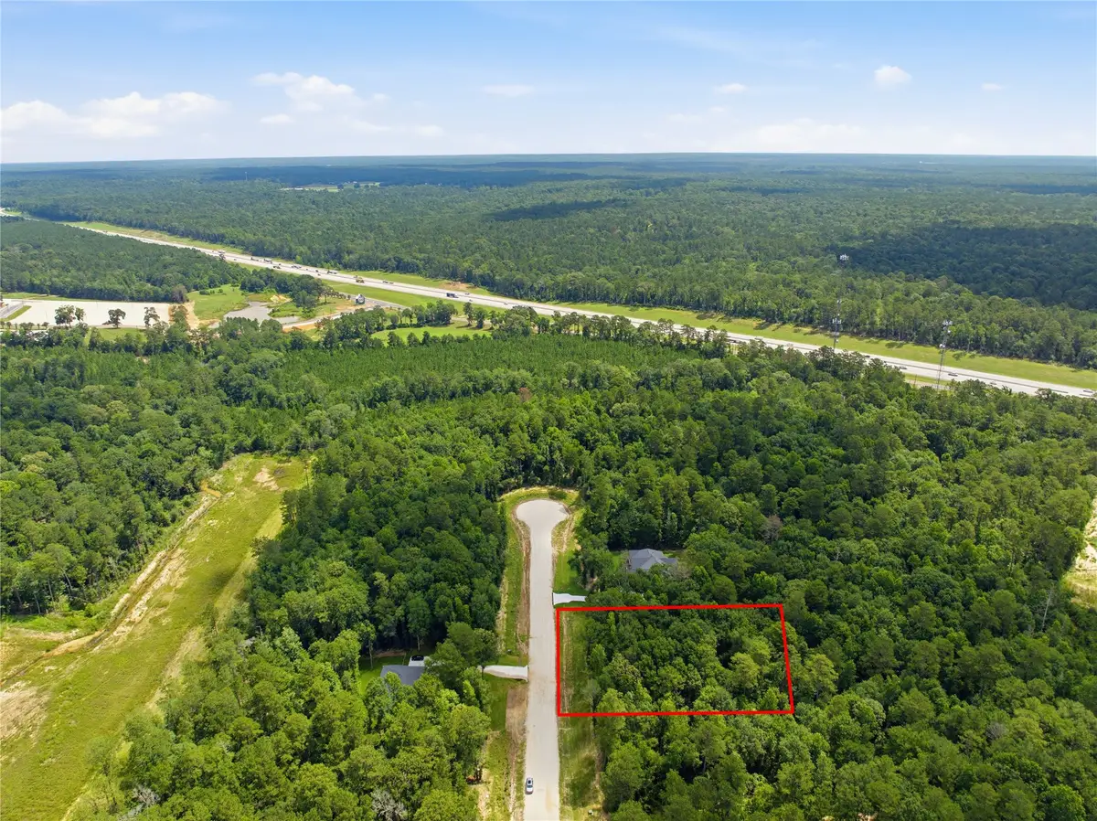 222 Hollow Hill Drive, New Waverly, TX 77340 - #1