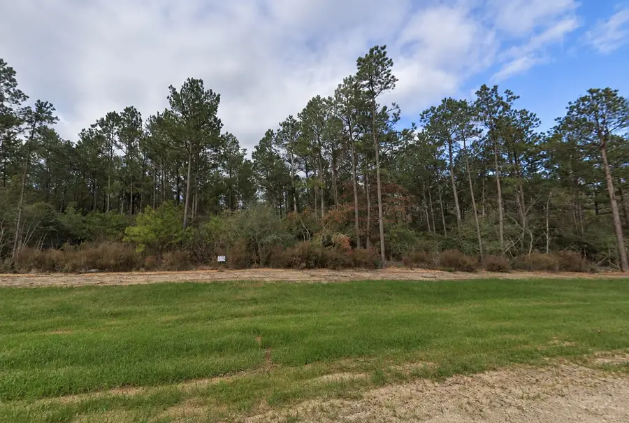 15729 Forest Grove Drive, Willis, TX 77378 - #3