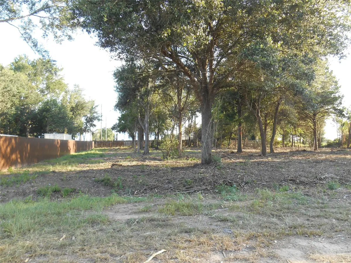 507 Marigold Drive, Prairie View, TX 77484 - #1