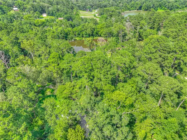 TBD Buckeye Lane, Point Blank, TX 77364