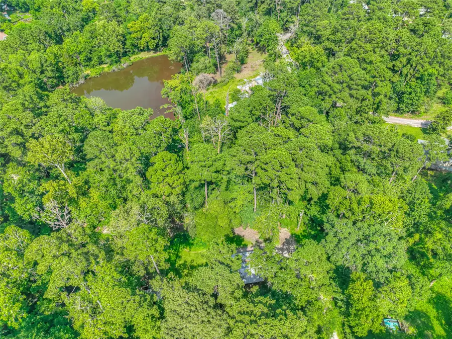 TBD Buckeye Lane, Point Blank, TX 77364 - #2