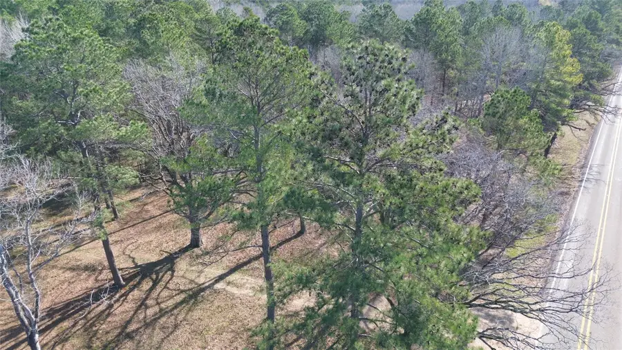 TBD Fm 227, Kennard, TX 75847 - #2