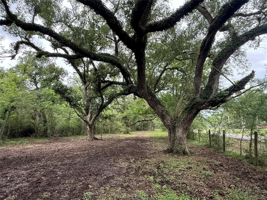 6833 Bryan Road, Jones Creek, TX 77541 - #2