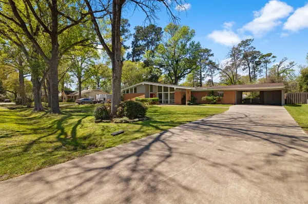 11619 Possum Hollow Lane, Houston, TX 77065