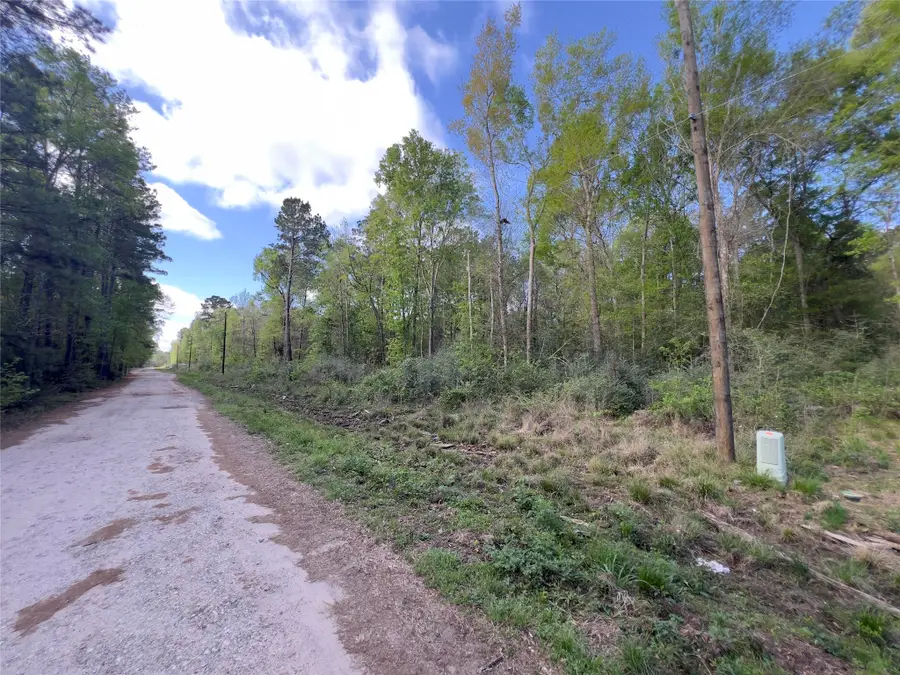 19108 Surrey, New Caney, TX 77357 - #3