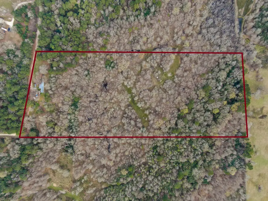 10081 Rocky Ridge Lane, Madisonville, TX 77864 - #2