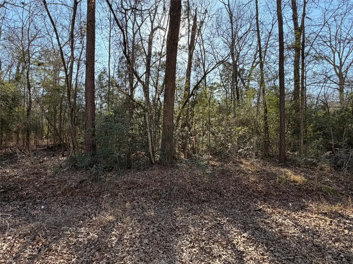 TBD Kelly Drive, Trinity, TX 75862 - #1