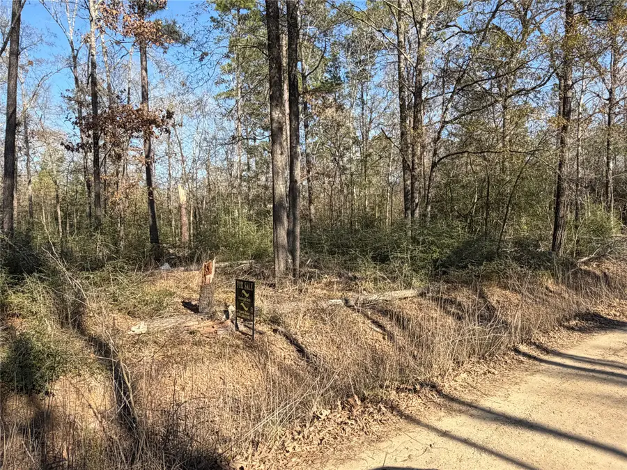 TBD Kelly Drive, Trinity, TX 75862 - #2