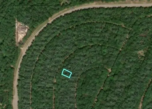 34342 White Feather Circle, Hempstead, TX 77445