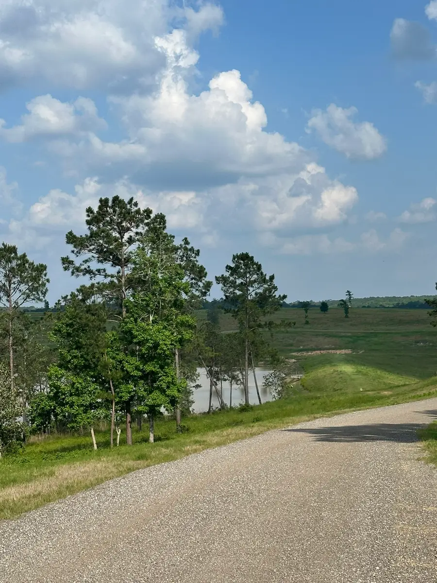 0 Western Road, Livingston, TX 77351 - #3