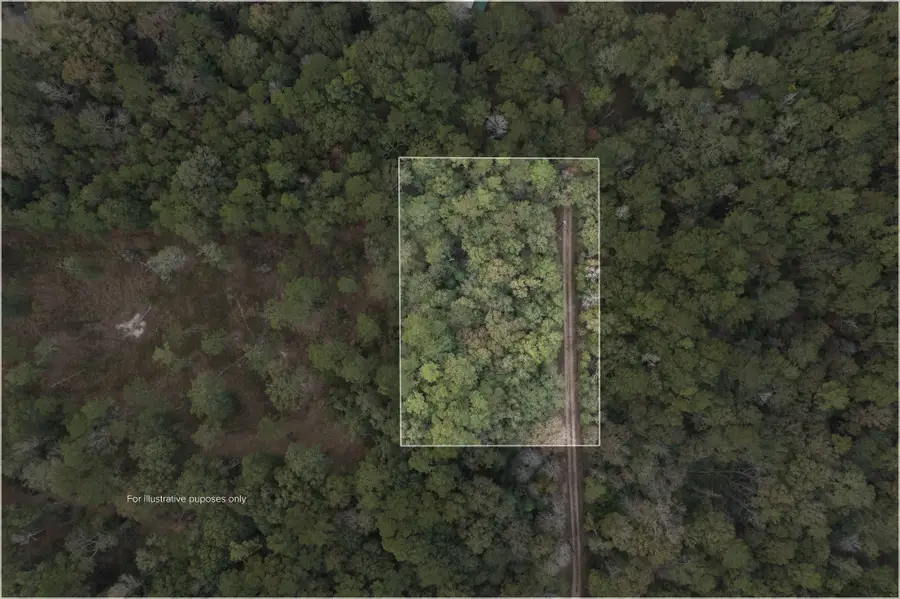 TBD Fire Tower, Conroe, TX 77306 - #2