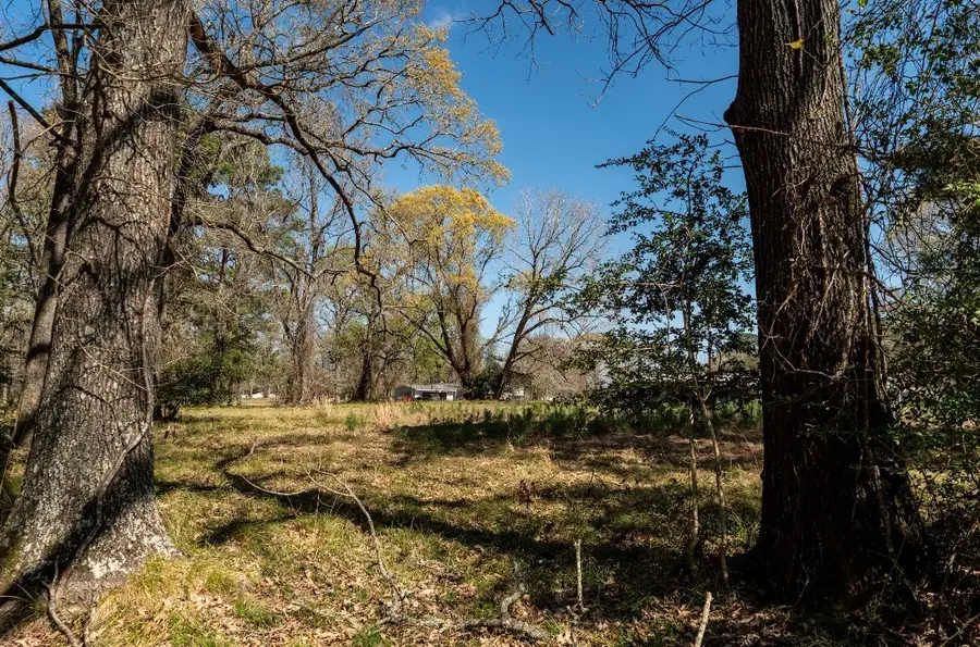 TBD Hopeton Way, Trinity, TX 75862 - #3