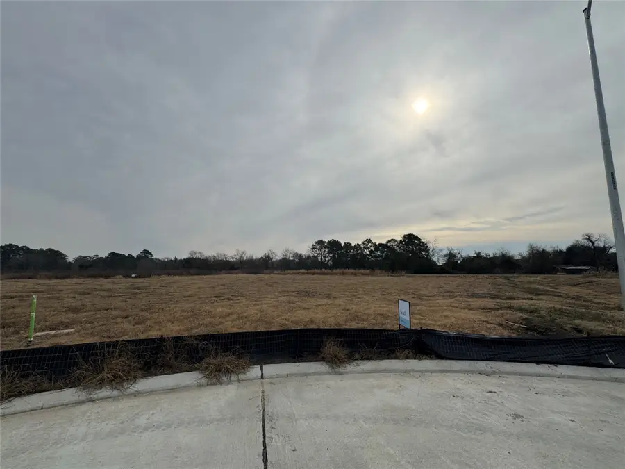 12122 Autumn Leaf Drive, Monterey Belvieu, TX 77535 - #2