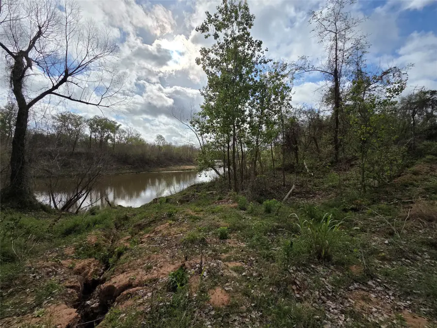 0 Kings Oak Drive, Damon, TX 77430 - #2