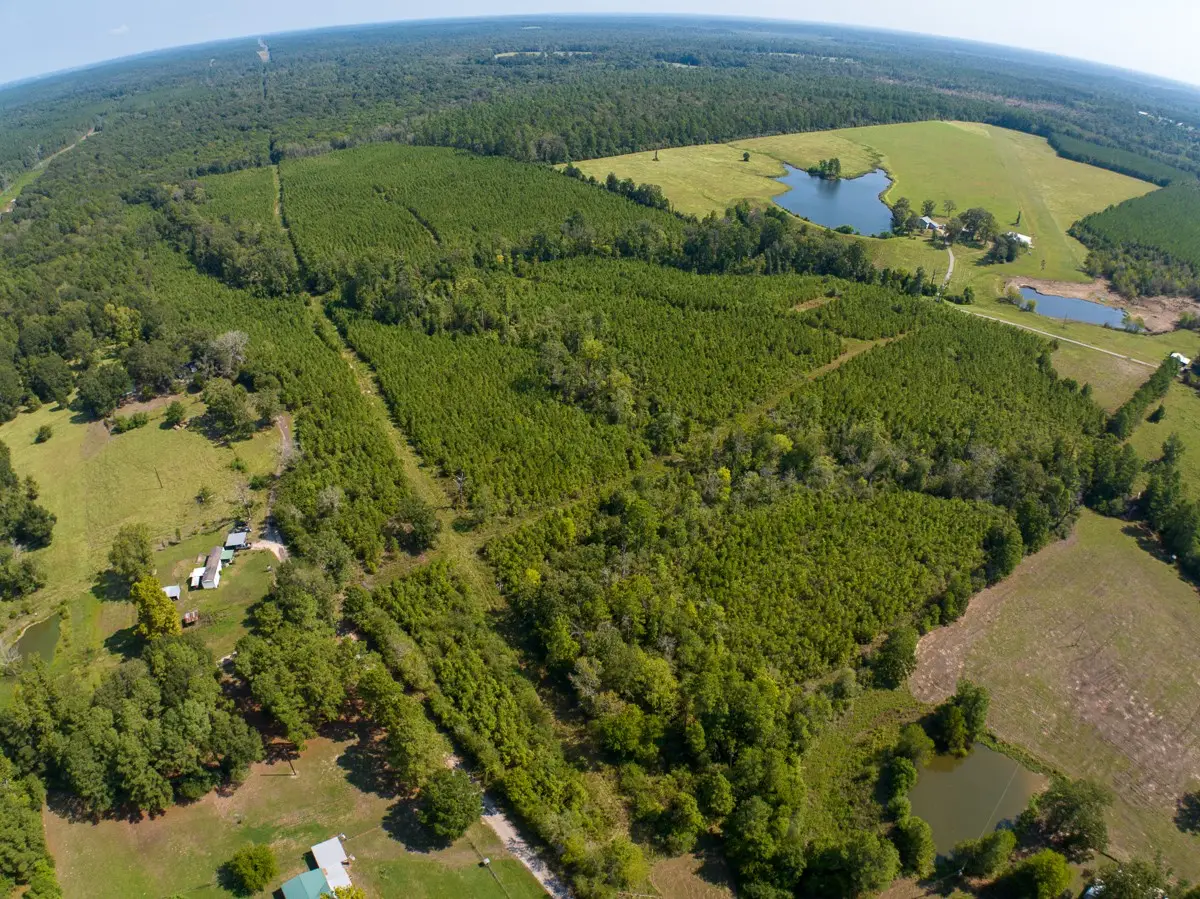 00 Lightfoot Road, Lufkin, TX 75901 - #1