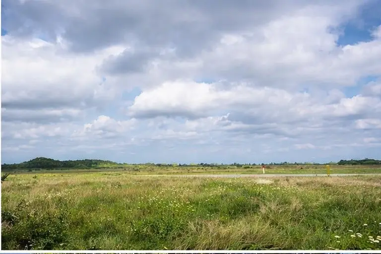 10318 County Road 67, Manvel, TX 77578 - #3