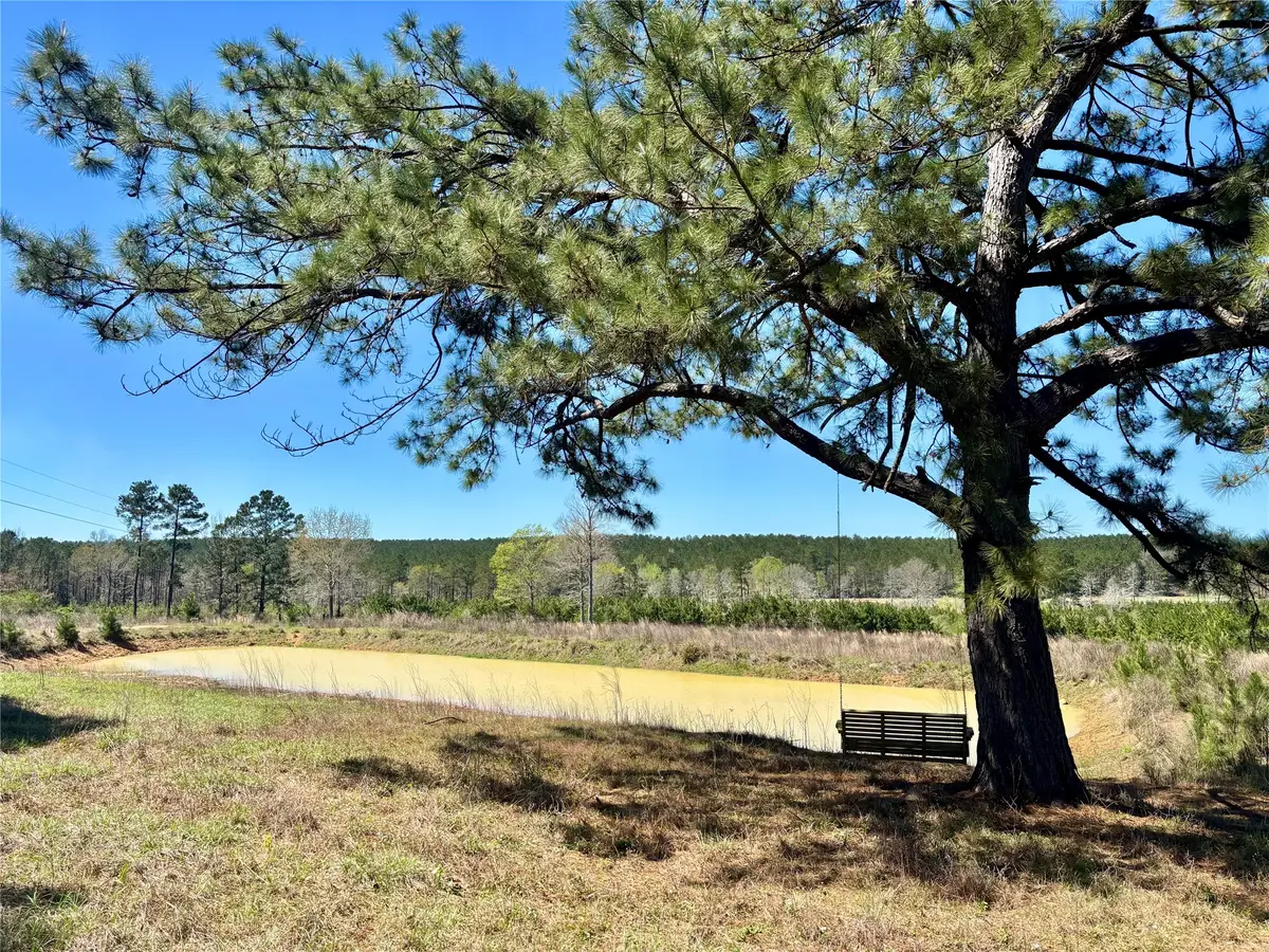 TBD County Road 3550, Woodville, TX 75979 - #1