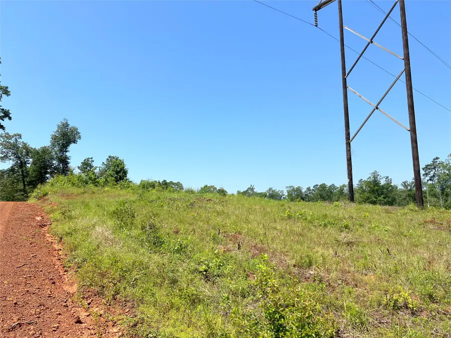 04 Carters Ferry Road, Milam, TX 75959 - #2