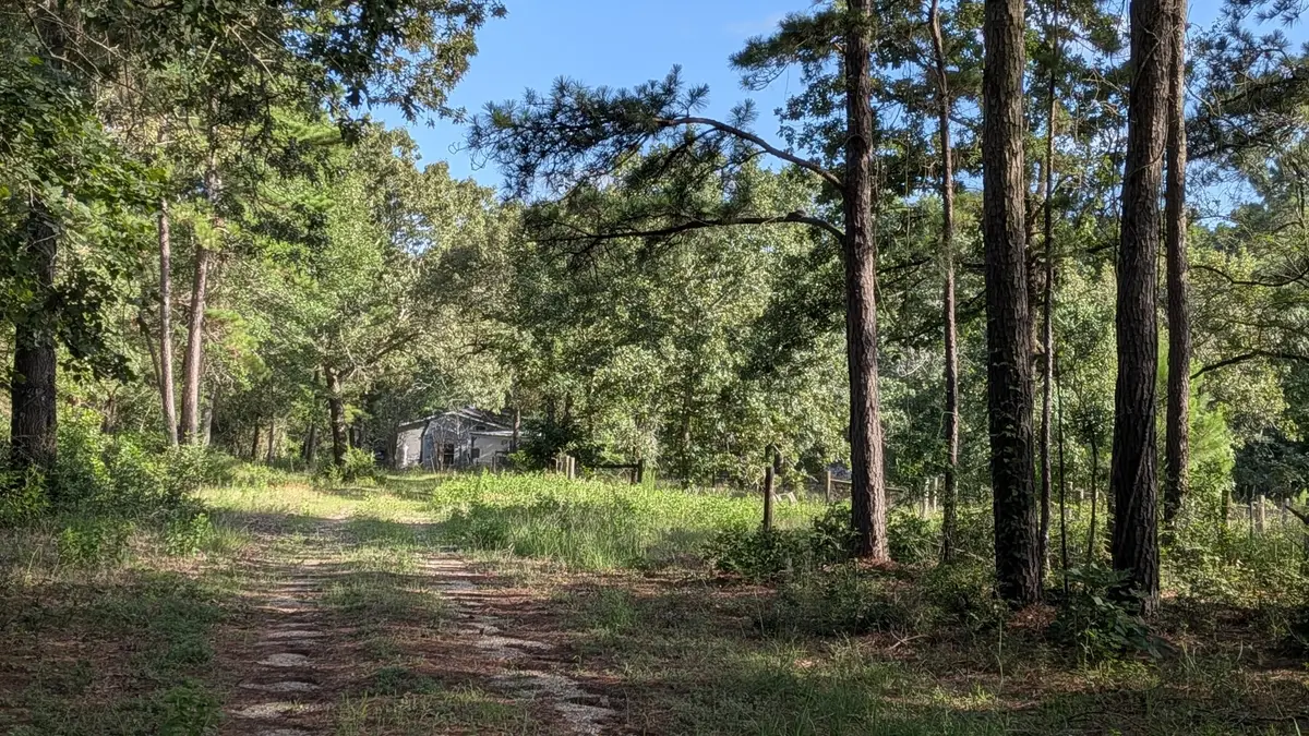 3948 Dogwood Trail, Navasota, TX 77868 - #1