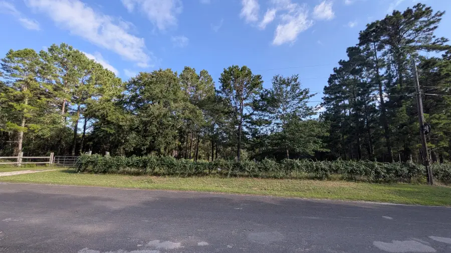3948 Dogwood Trail, Navasota, TX 77868 - #2