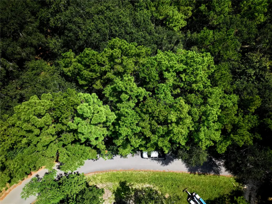 25613 Northampton, New Caney, TX 77357 - Image #3