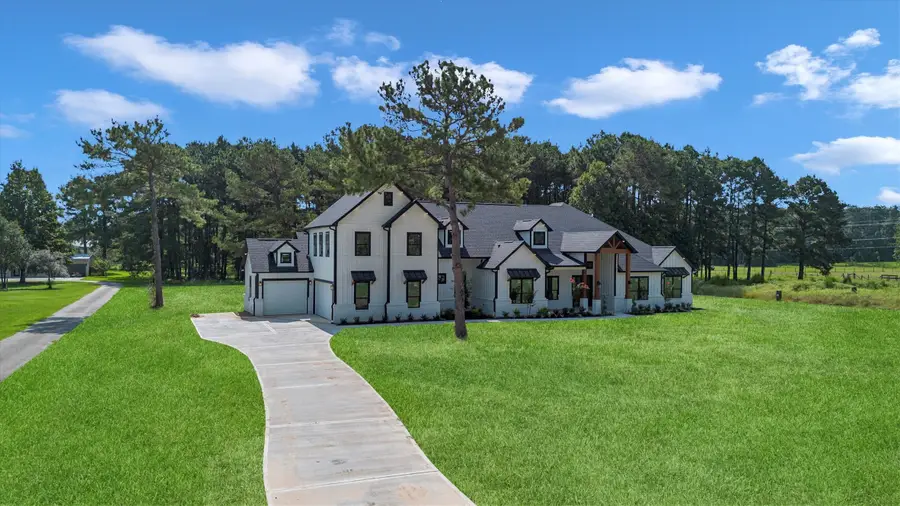 10075 Leonidas Horton Road, Conroe, TX 77304 - #3